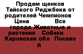 Продам щенков Тайского Риджбека от родителей Чемпионов › Цена ­ 30 000 - Все города Животные и растения » Собаки   . Кировская обл.,Лосево д.